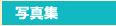 �ʐ^�W